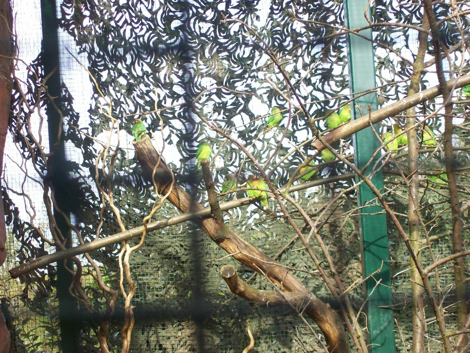 Zoom 18.10.2008-097.jpg